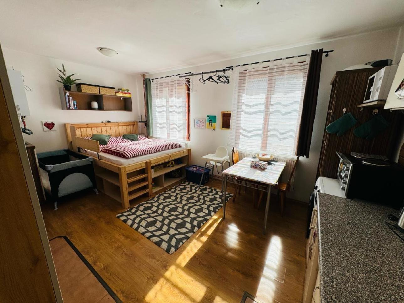 Apartmany Srub Jenisov Horní Planá エクステリア 写真